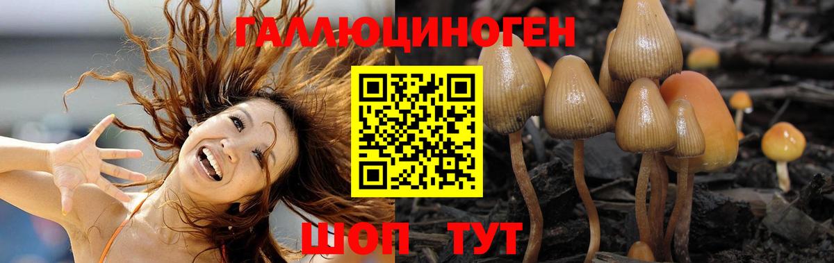 Галлюциногенные грибы Psilocybe  Вход с VPN  Воскресенск 